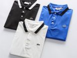 lacoste polo衫 2022新款 鱷魚翻領短袖polo衫 MG5113款